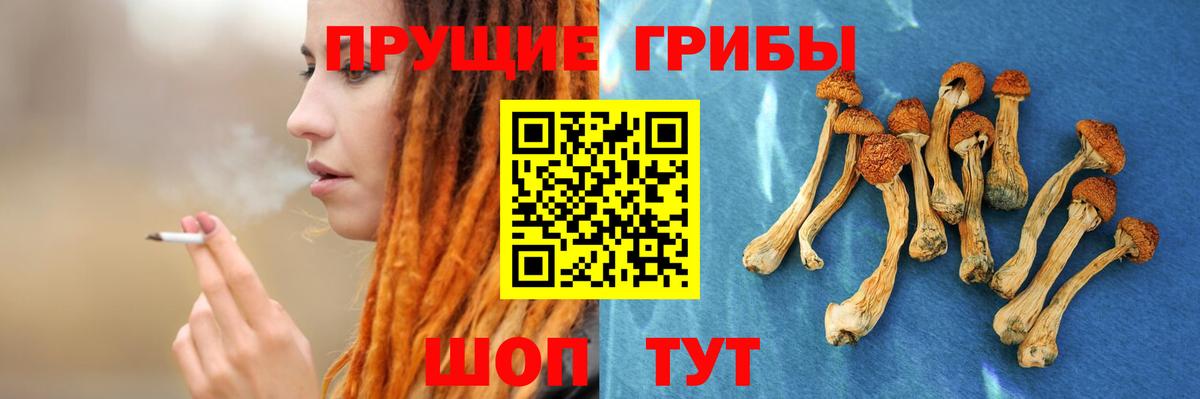 Псилоцибиновые грибы ЛСД  Вход с VPN  Всеволожск  Псилоцибиновые грибы мухоморы 